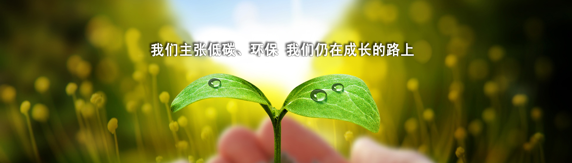 老人性做爰A片老妇人